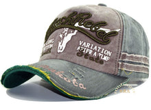Load image into Gallery viewer, Delishi Brand Baseball Cap